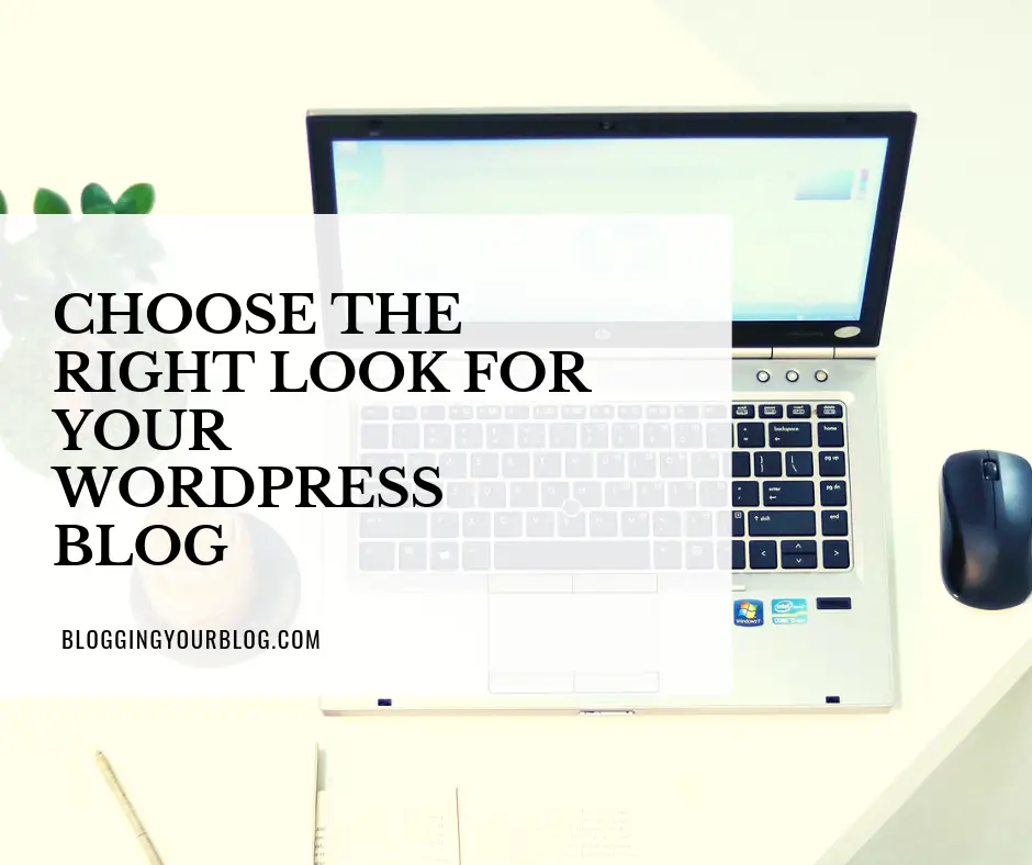 Choose the right look for your WordPress blog