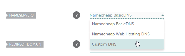 Select Custom DNS for your domain name