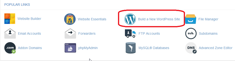 select Build a New WordPress Site in your cpanel