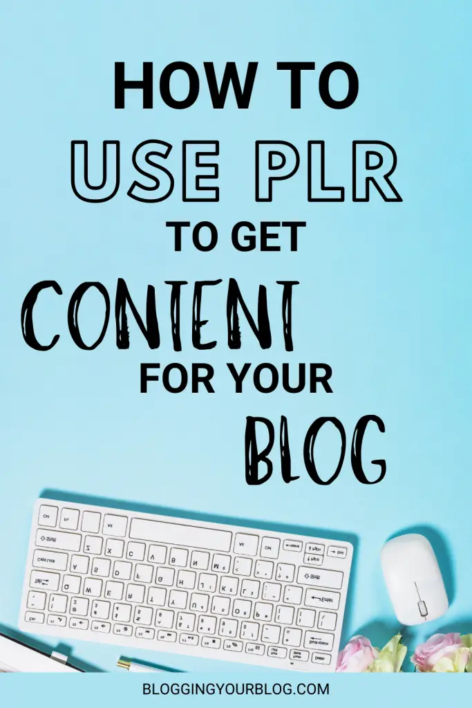 How to Use PLR to create more content for your blog or niche site. 